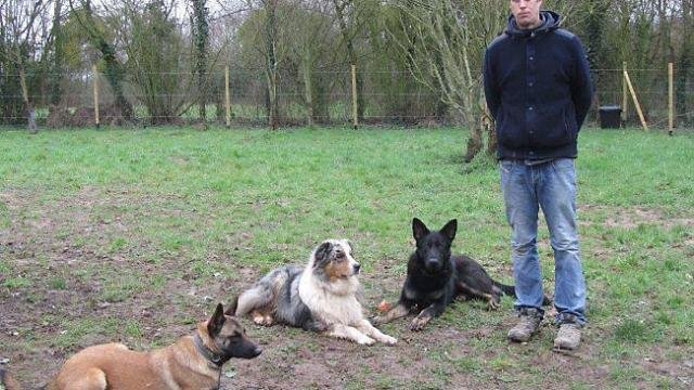 Educanine 53 Centre d'education canine - photo 3