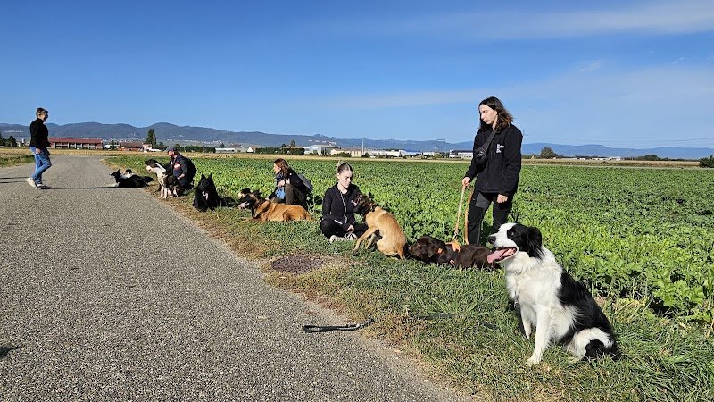 Centre Canin K9 Educ Pro - photo 2