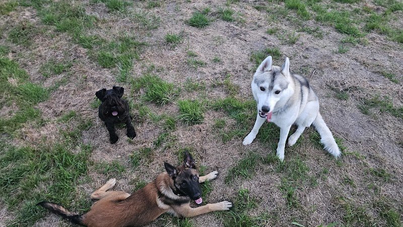 Centre Canin K9 Educ Pro - photo 3