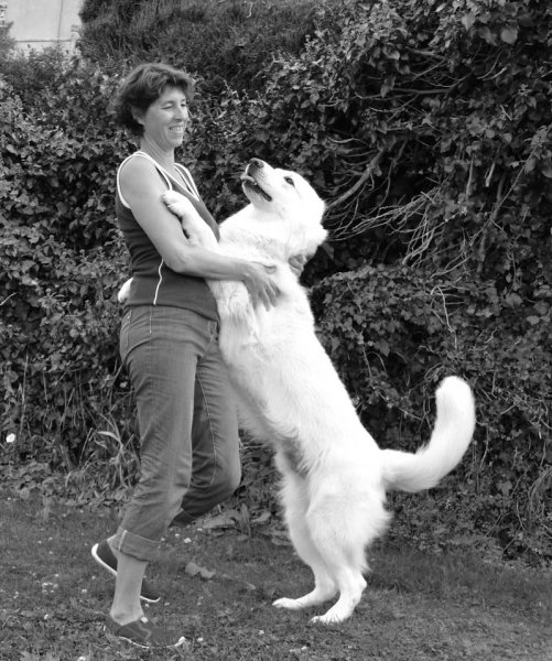 Harmoniechien.com - Emilie Vernet Éducateur comportementaliste canin Dijon