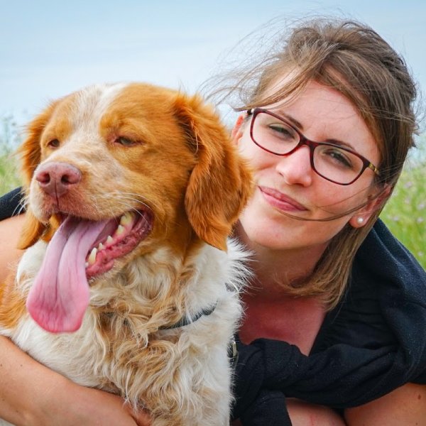 Chien en Mouvement - photo 2