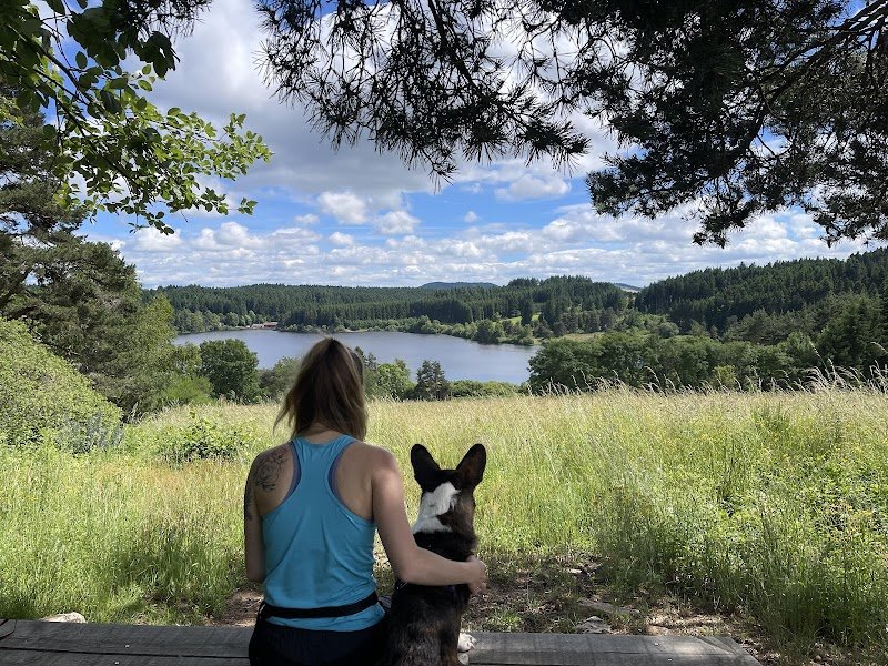 Chien en Mouvement - photo 3