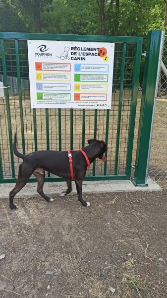 Parc canin Cournon d'Auvergne