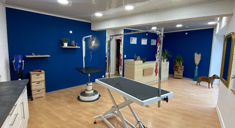 Ambiance canine - photo 1