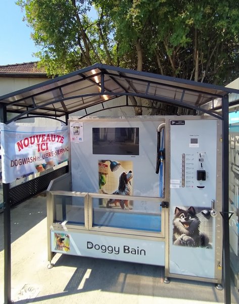 Doggybain - Le Cendre