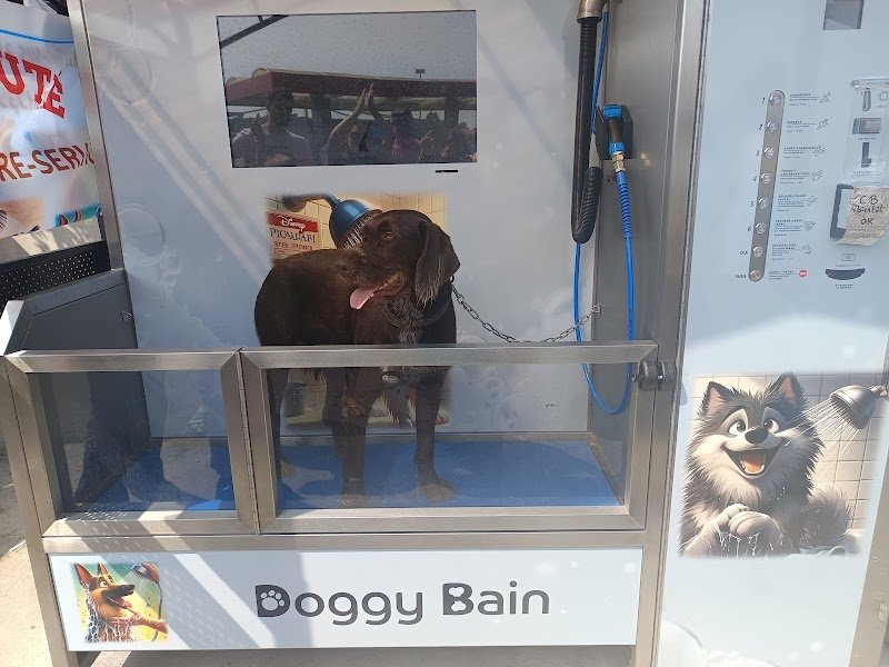 Doggybain - Le Cendre - photo 3