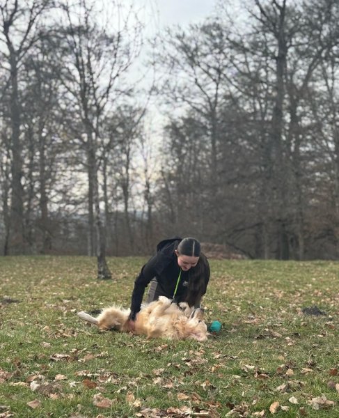 Domaine des Saphirs Dorés - éducatrice comportementaliste canin, félin, NAC - éleveuse de Golden Retriever
