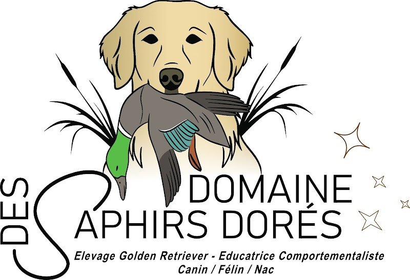 Domaine des Saphirs Dorés - éducatrice comportementaliste canin, félin, NAC - éleveuse de Golden Retriever - photo 3