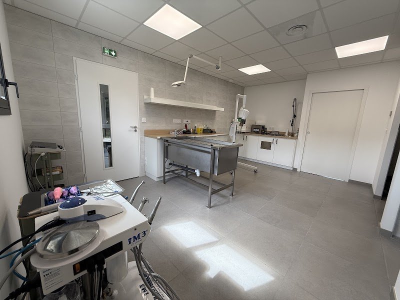 Clinique Vétérinaire CRYODOG - photo 3