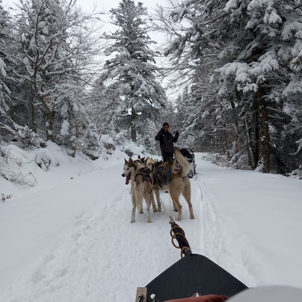 Randogs Super Besse - photo 1