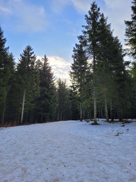 Baptême Chiens Traîneau Evasion Super Besse - photo 3