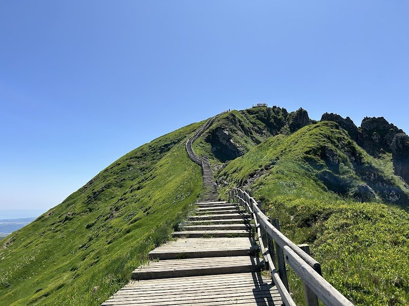 La Bergerie des Volcans 100% Dog Friendly - photo 3