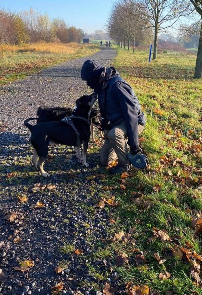 François Deblander comportementaliste canin - photo 2
