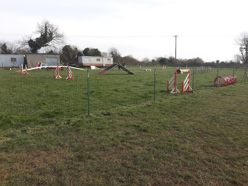 Club Canin Saint André - photo 3