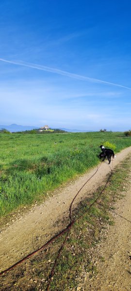 Emma Passion Canine - photo 3