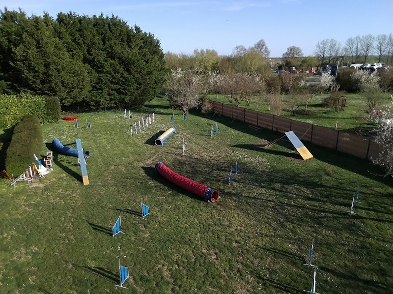 Infinity-Dog Éducateur Canin La Rochelle - photo 3