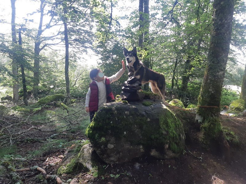 Chiens de Traîneau des Volcans - photo 1
