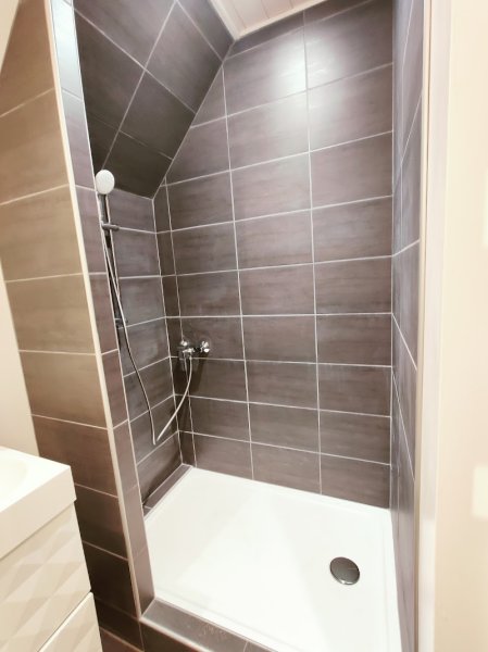 La Bergerie du Sancy - Gîte 100%DogFriendly - Volcans à 4 pattes - photo 3