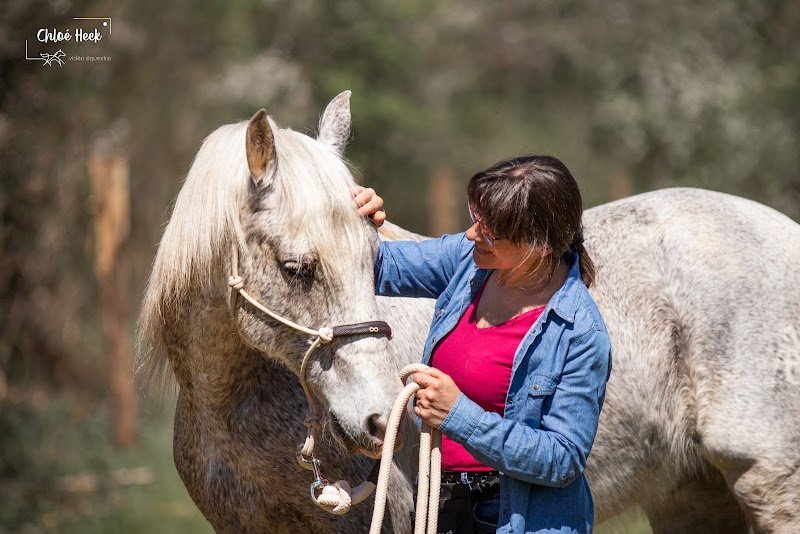 Nathalie BEAUMONT - Comportementaliste équin - EquiZen Conseil - Allier - Puy de Dôme