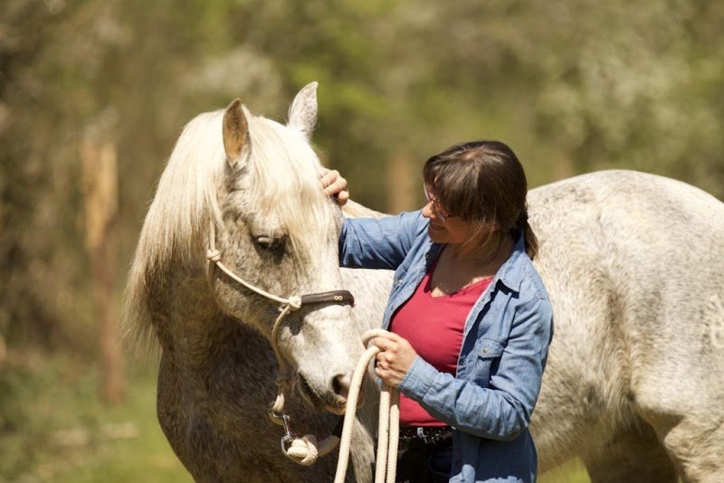 Nathalie BEAUMONT - Comportementaliste équin - EquiZen Conseil - Allier - Puy de Dôme - photo 2