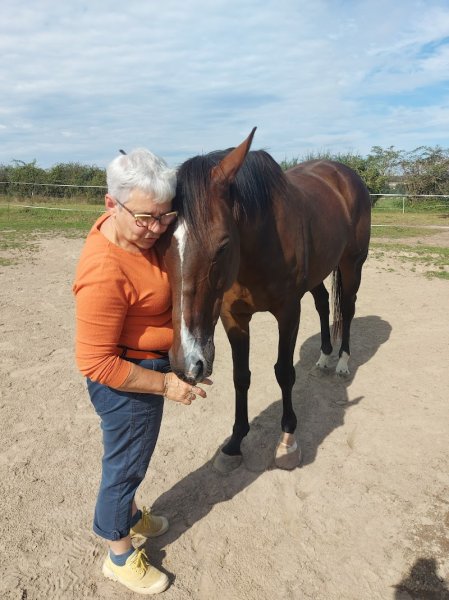 Nathalie BEAUMONT - Comportementaliste équin - EquiZen Conseil - Allier - Puy de Dôme - photo 3