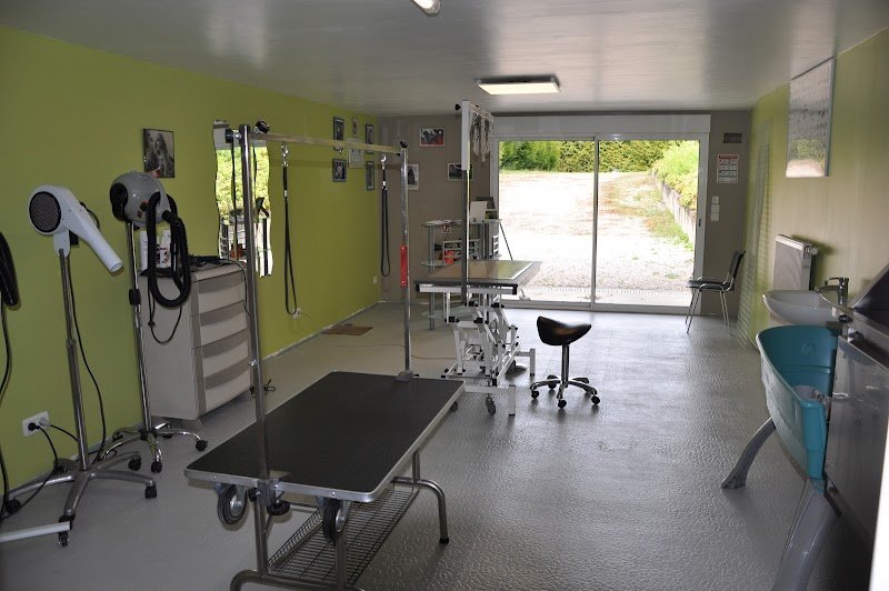 ATELIER CANIN DES CHARMES DE VERZAN - photo 2