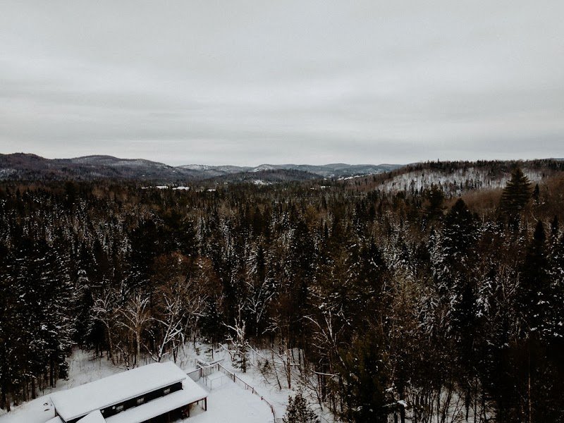 Centre Canin Rose Proulx Inc. - photo 1