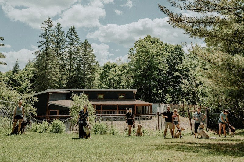 Centre Canin Rose Proulx Inc. - photo 3