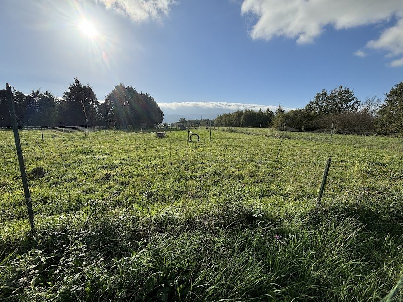 Ac'Crocs Chiens81 - photo 1