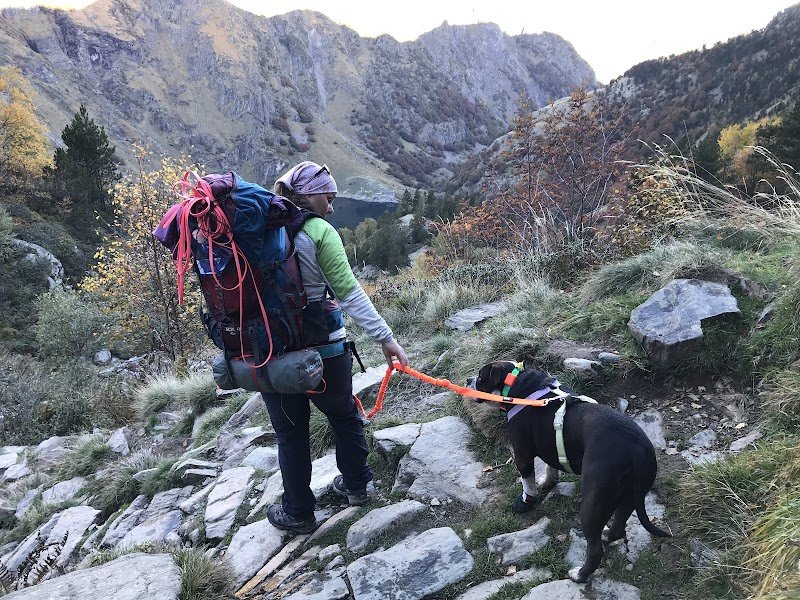 MONT CROC - Éducateur et Comportement Canin / Formation aux Premiers Secours Canin et Félin - photo 3