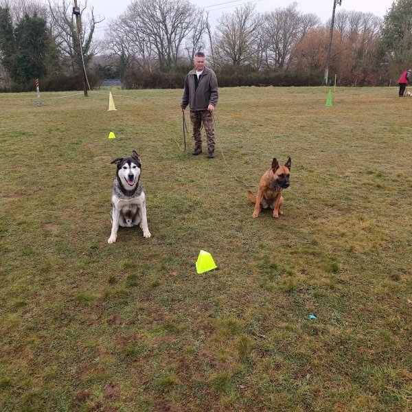 Club d'éducation canine de LA SOUTERRAINE - photo 2