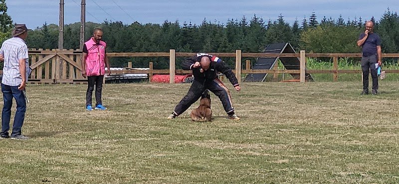 Club d'éducation canine de LA SOUTERRAINE - photo 3
