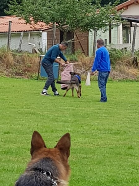 Centre Canin Cyno 23