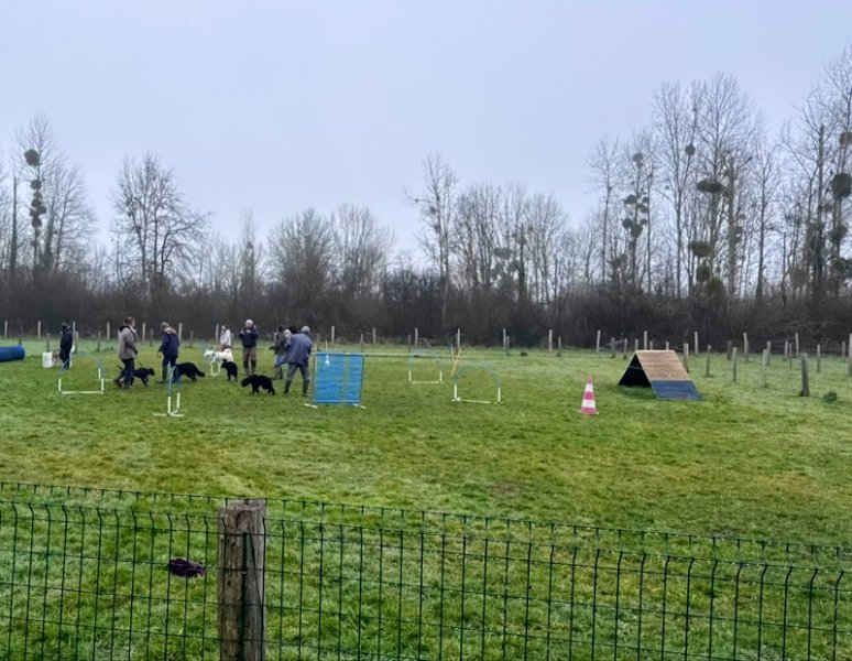 aux chiens heureux - photo 1