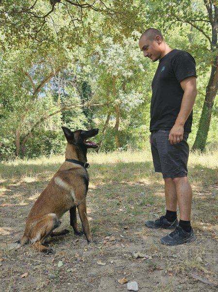 Dog's Time 13, éducateur comportementaliste canin à Aix en Provence et les Bouches-du-Rhône, 13 - photo 2
