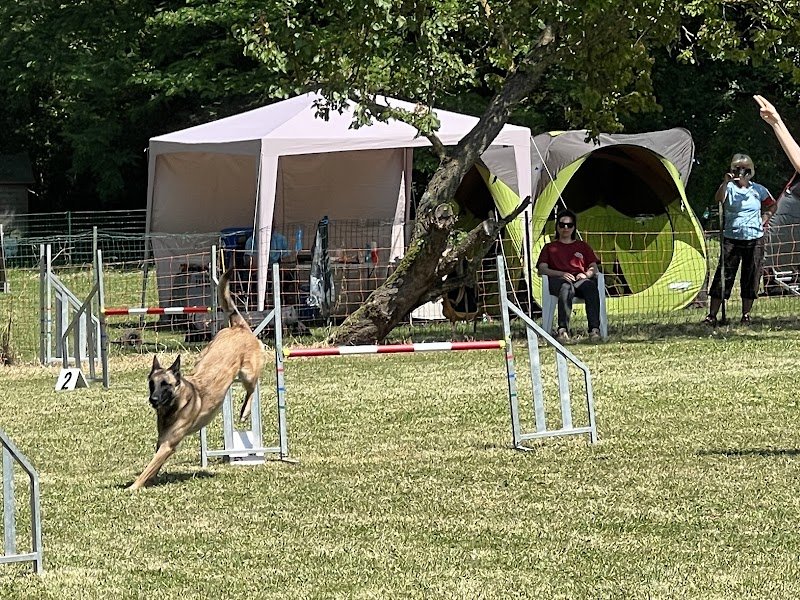 Club Canin de Verrières - photo 1