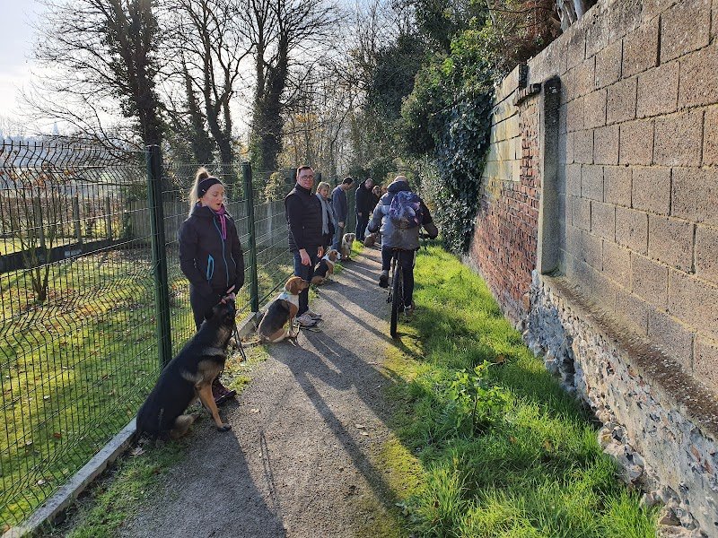 C.E.P.C. Centre d'éducation canine - photo 1