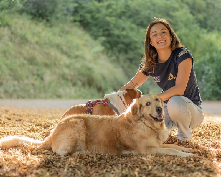 Camidog's Education Canine - photo 2