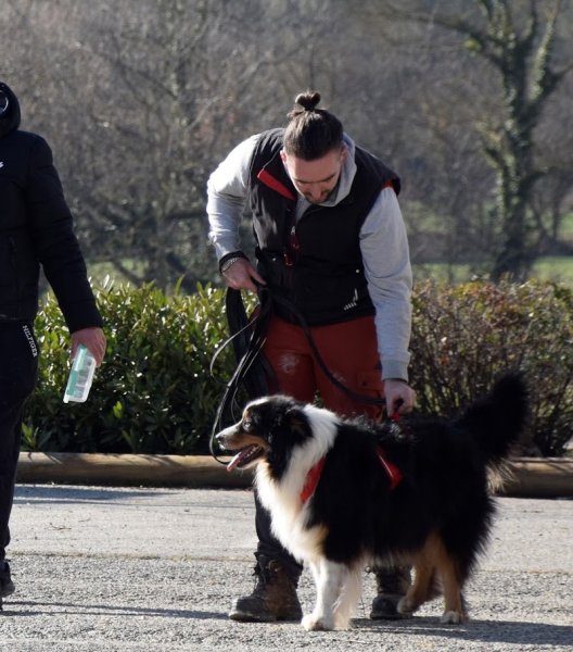 4 pattes et une truffe Educateur canin - photo 3