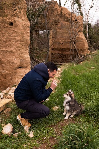 Marius Denuel - éducateur canin - photo 3