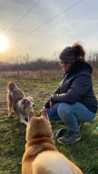 Love Dogs Education & Academy - photo 2