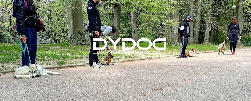 DYDOG Educateur Canin spécialisé - photo 1