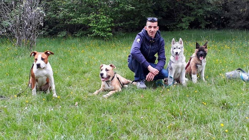 DYDOG Educateur Canin spécialisé - photo 2