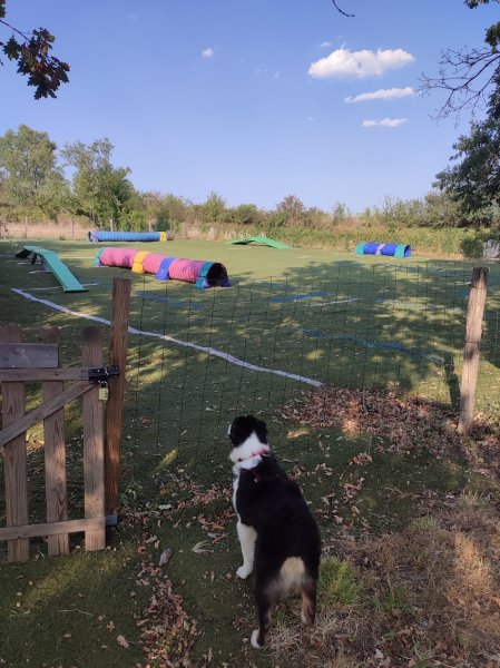 CanInstinct - photo 2