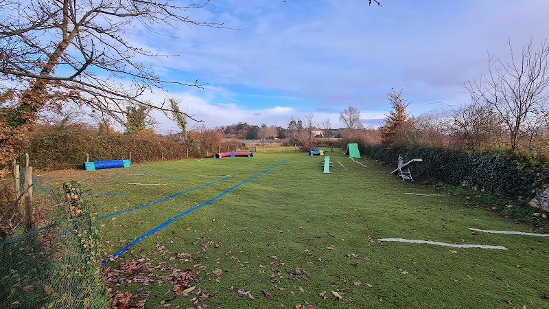 CanInstinct - photo 3