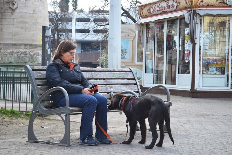 Camille Nguyen - Préparation physique et sports canins
