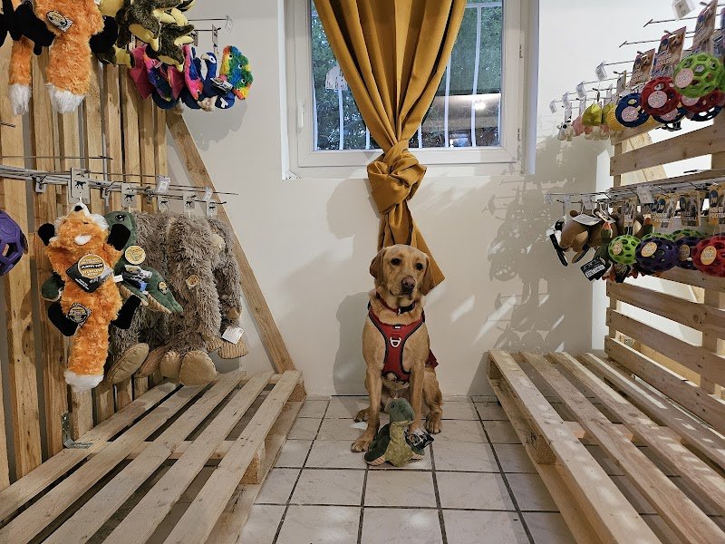 Centre canin les filous