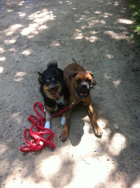 Reeducdog's - photo 3