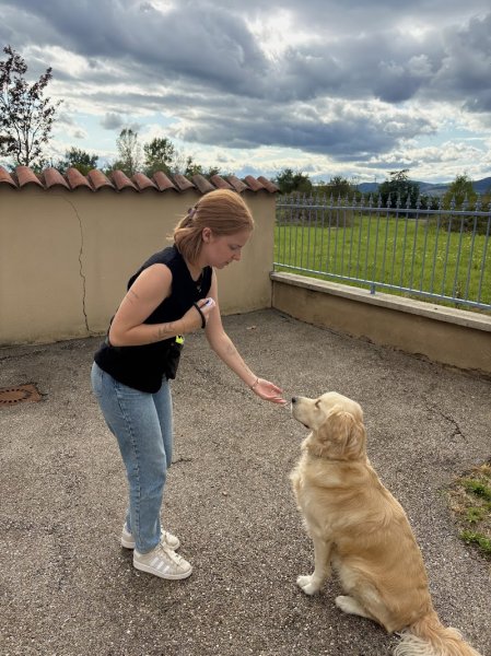 ÂME ANIMALE - Éducateur canin et comportementaliste canin et félin - Soins énergétiques - Ateliers en santé animale - photo 2