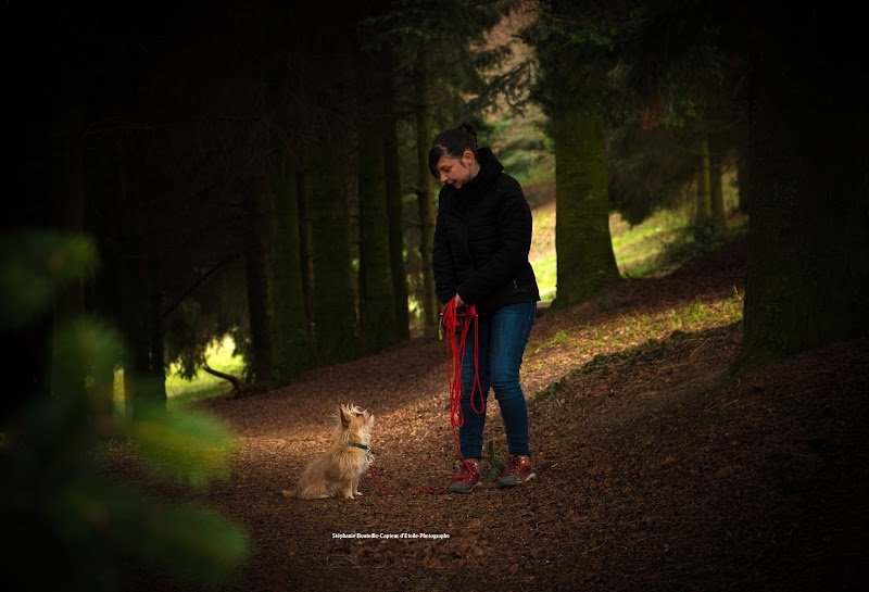 L'émocanin - photo 2